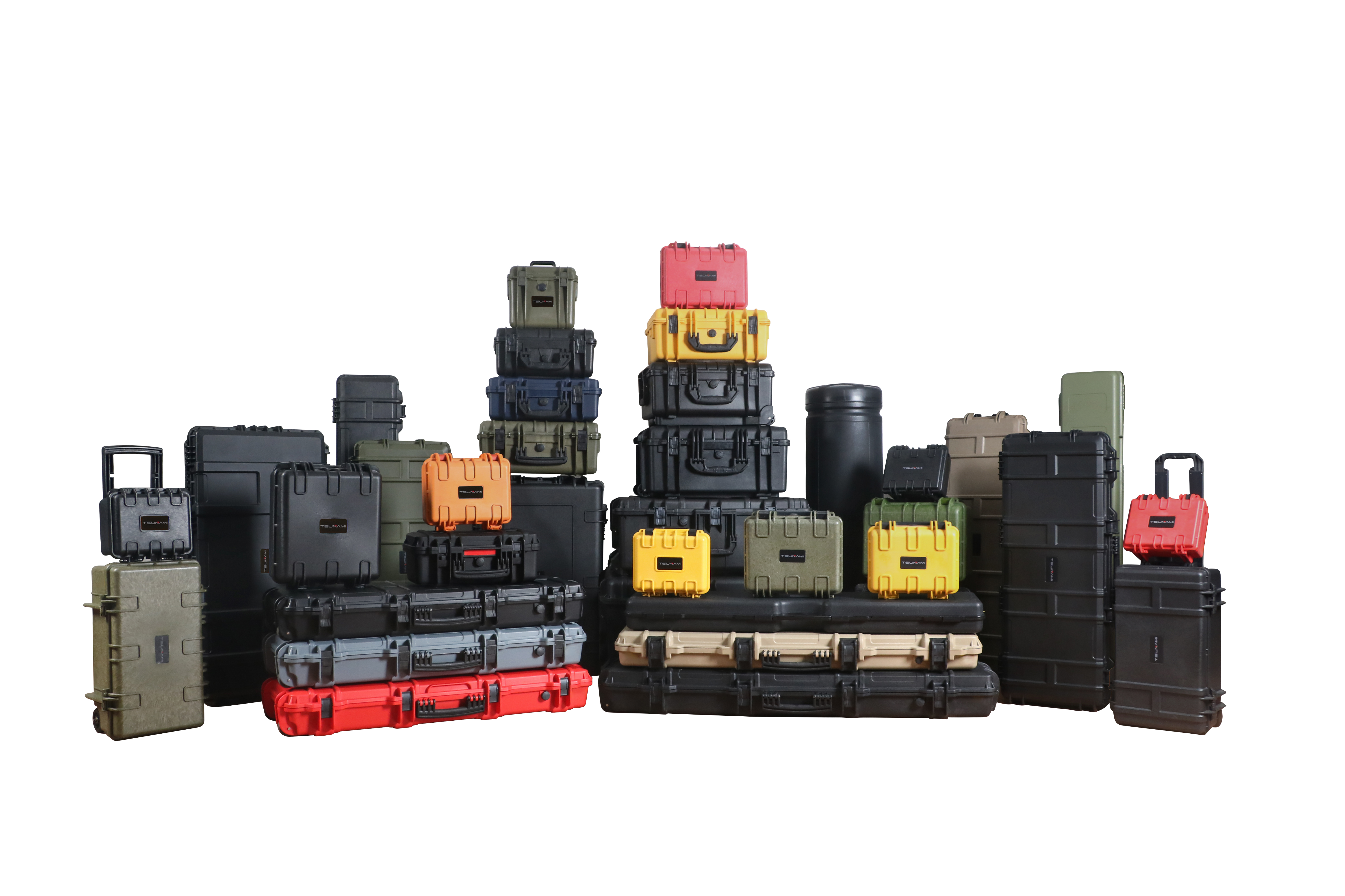 carry case 1